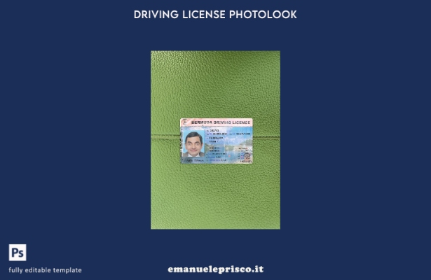 modello anteriore photolook per patente di guida delle Bermuda in stile verifica
